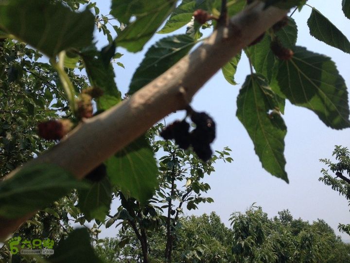 石峨CBADD995-37EF-4D5E-B1B4-EEC3E572