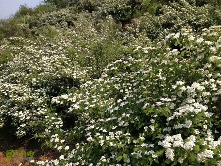 石峨DD655D3C-7DEF-406F-8334-B3797966