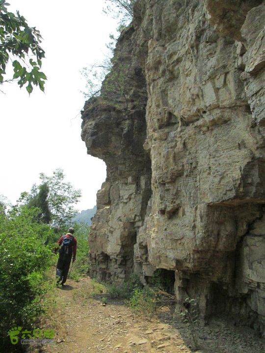 石峨IMG_3755