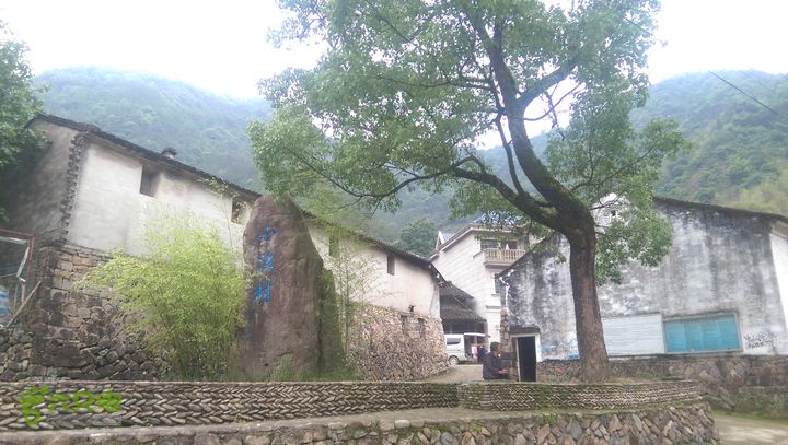 太平岭古道IMAG2799