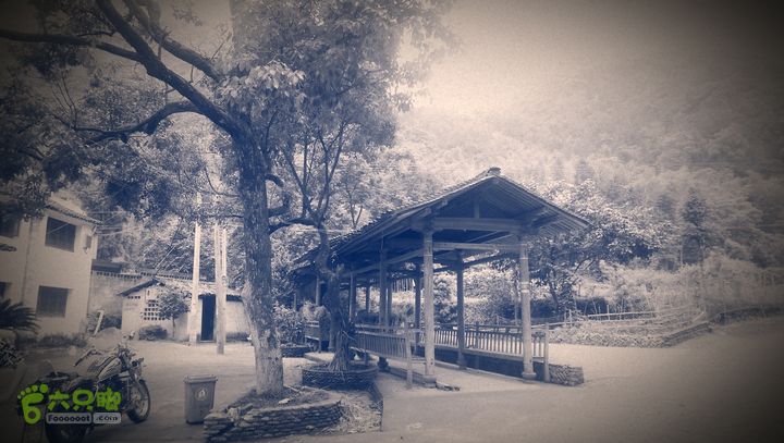 太平岭古道IMAG2802