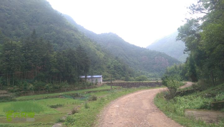 太平岭古道IMAG2803