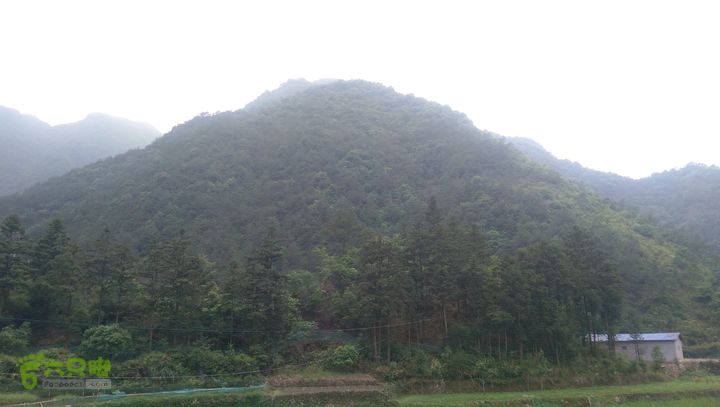 太平岭古道IMAG2804