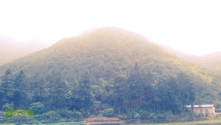 太平岭古道IMAG2805