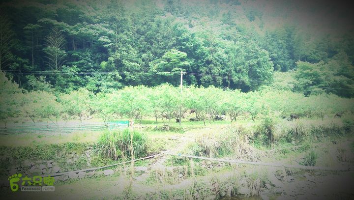 太平岭古道IMAG2811