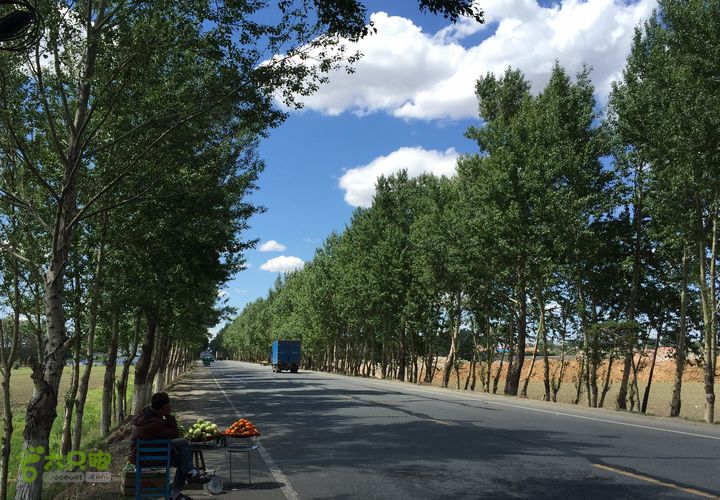 20150530-骑行长春太平池水库-天气特好S106 - 回长春路上