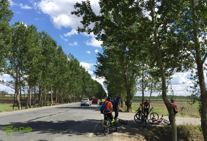 20150530-骑行长春太平池水库-天气特好S106 - 回长春路上
