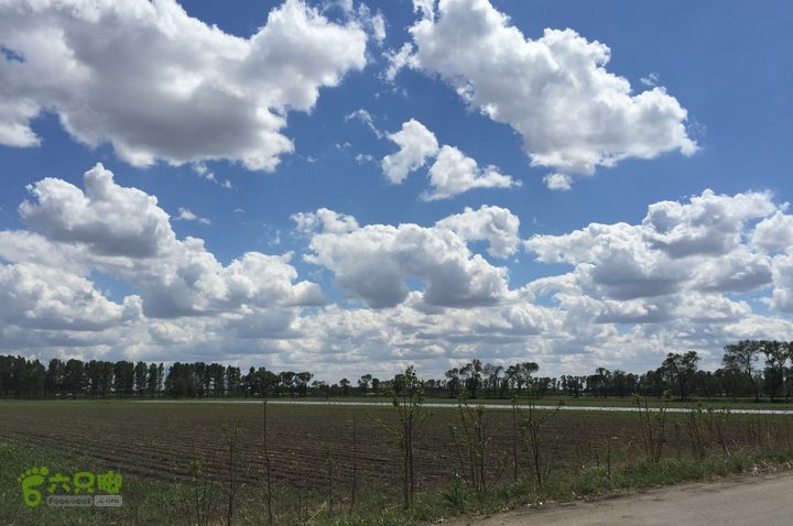 20150530-骑行长春太平池水库-天气特好S106 - 回长春路上 -- 三清观小路上。