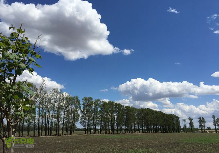 20150530-骑行长春太平池水库-天气特好S106 - 回长春路上 -- 道教圣地-三清观。