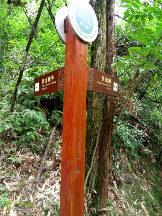 2015.6.1.仙岩风景区2015-06-01 14:19:09