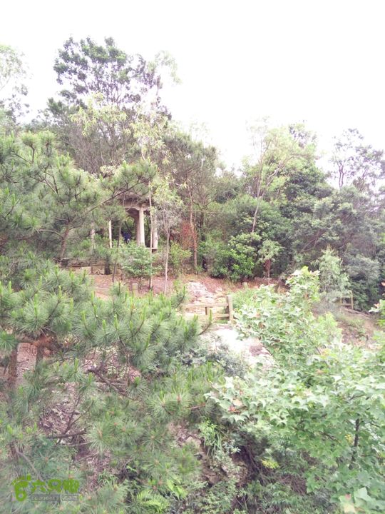 2015.6.1.仙岩风景区2015-06-01 15:15:49