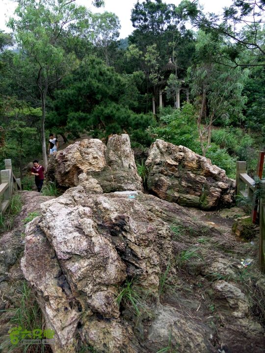 2015.6.1.仙岩风景区2015-06-01 15:17:19