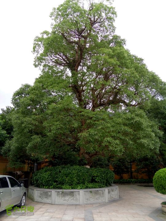 2015.6.1.仙岩风景区2015-06-01 16:09:54