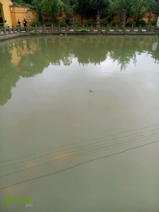 2015.6.1.仙岩风景区2015-06-01 16:10:32