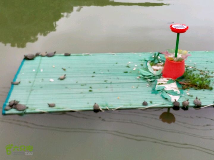 2015.6.1.仙岩风景区2015-06-01 16:21:10