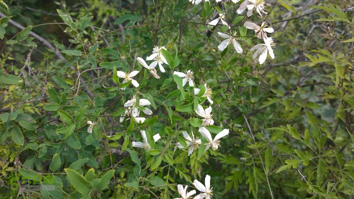 房山驷马沟-花木伦-水峪穿越WP_20140823_002