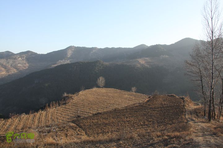 山西长治猫路～天生桥～万佛寺～英姑峽～隐龙谷IMG_0386