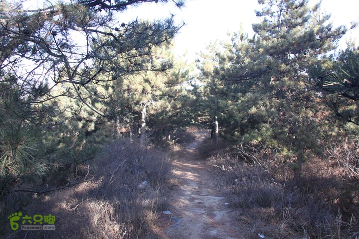 山西长治猫路～天生桥～万佛寺～英姑峽～隐龙谷IMG_0460