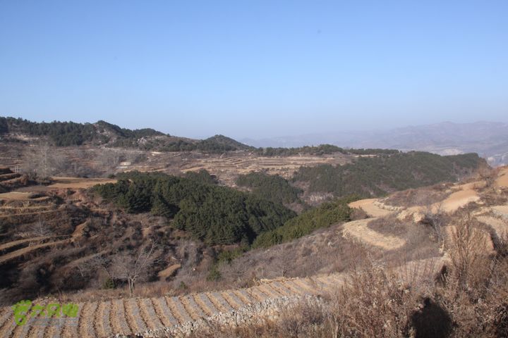山西长治猫路～天生桥～万佛寺～英姑峽～隐龙谷IMG_0470