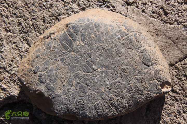 山西长治猫路～天生桥～万佛寺～英姑峽～隐龙谷IMG_0518