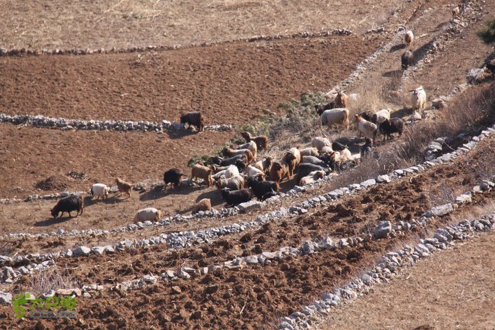 山西长治猫路～天生桥～万佛寺～英姑峽～隐龙谷IMG_0524
