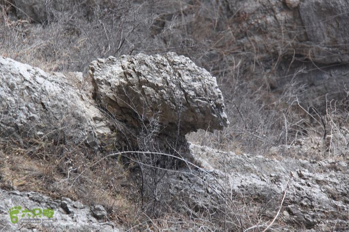 山西长治猫路～天生桥～万佛寺～英姑峽～隐龙谷IMG_0760