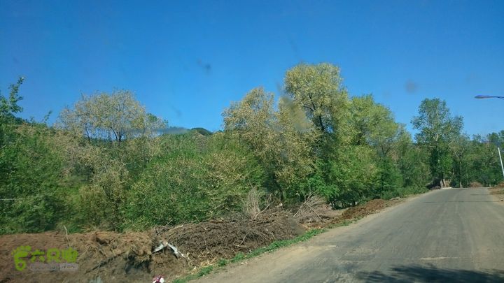 乌兰布统-2-飞鱼河道