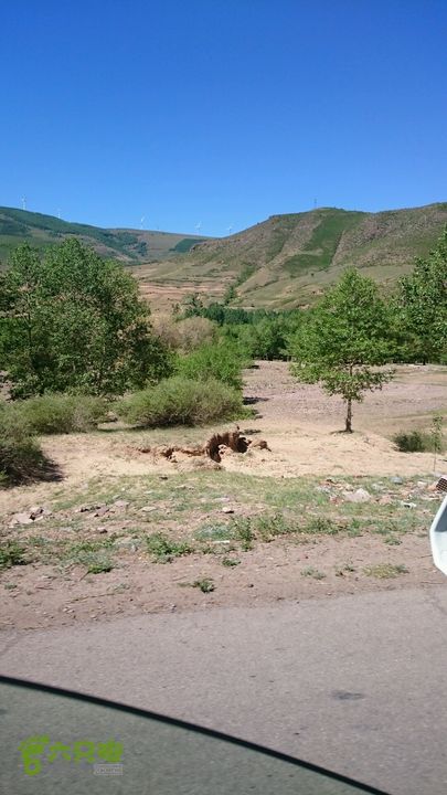 乌兰布统-2-飞鱼11