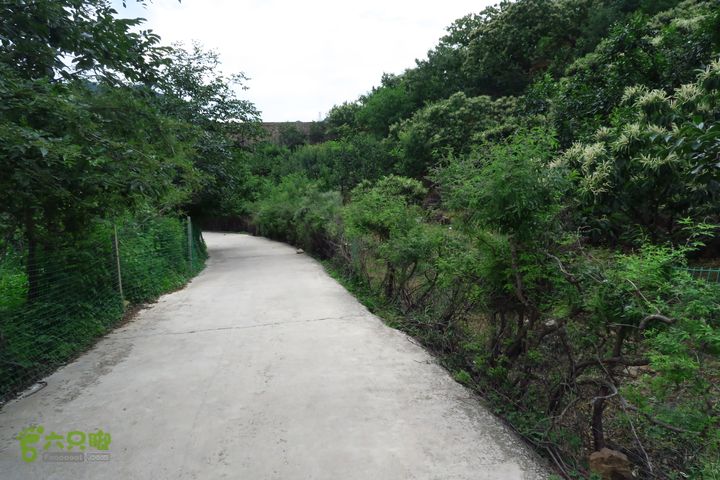 平谷黄松峪康石岭白云寺北寨穿越IMG_2688