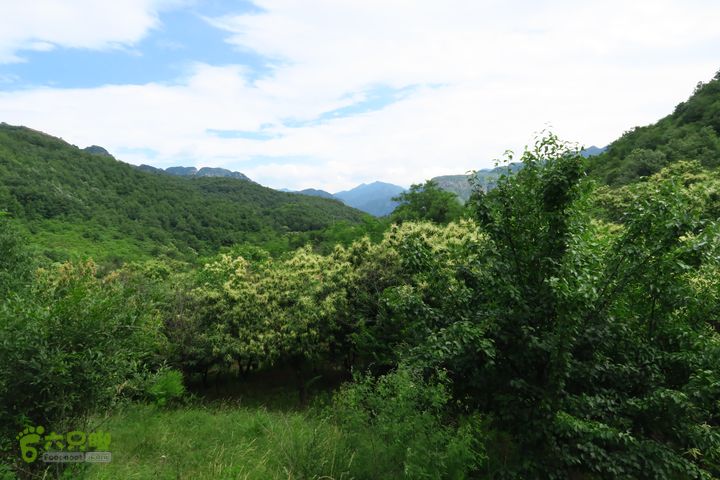 平谷黄松峪康石岭白云寺北寨穿越IMG_2690