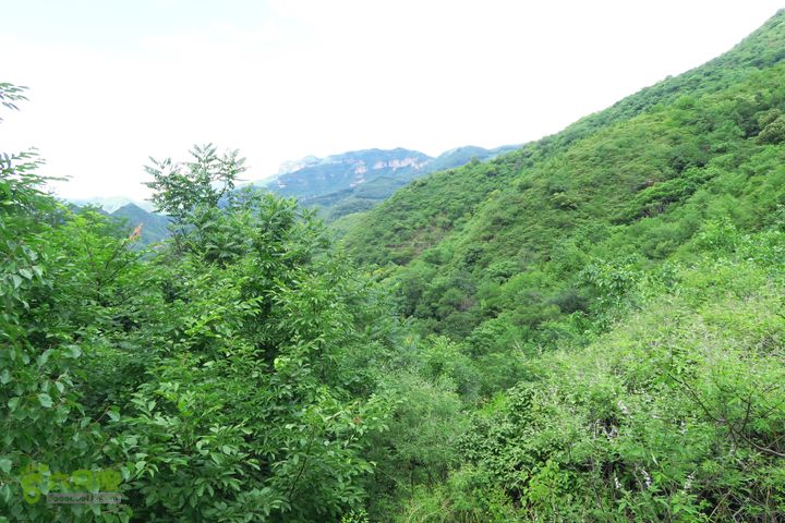 平谷黄松峪康石岭白云寺北寨穿越IMG_2696