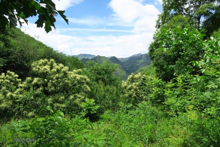 平谷黄松峪康石岭白云寺北寨穿越IMG_2698