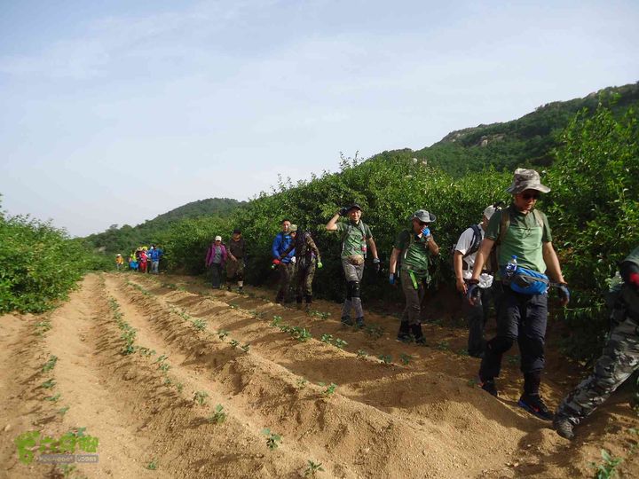 连青山穿越青石崖～枣沟水库DSC01077_眸目压缩