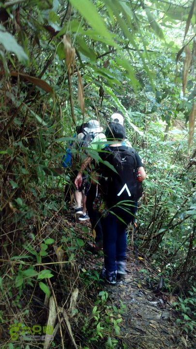 洛洞世外桃源悠闲徒步2015-06-14 10:39:45