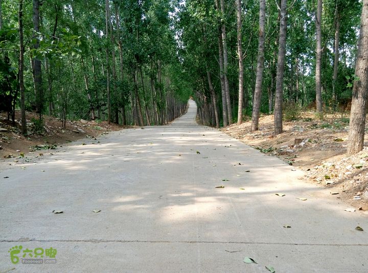 南官庄村村北路