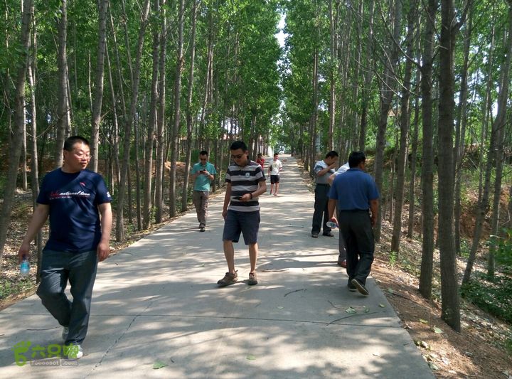 南官庄村考察团