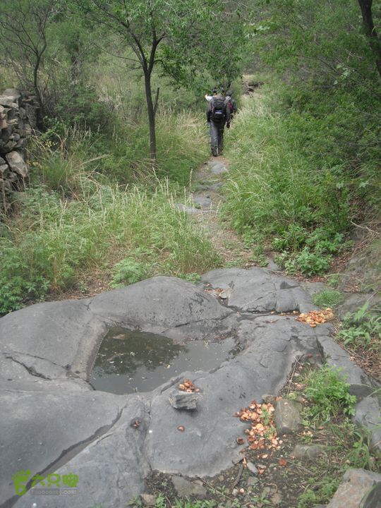 王平北-黄土台-大窖-韭园DSCF3167