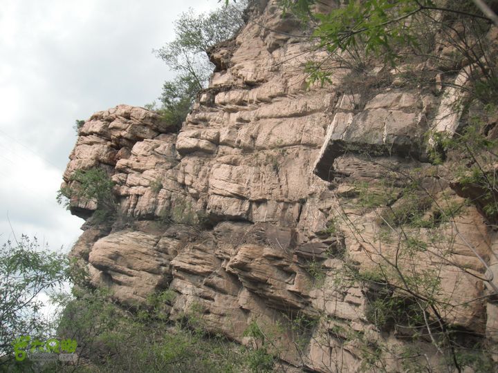 王平北-黄土台-大窖-韭园DSCF3190