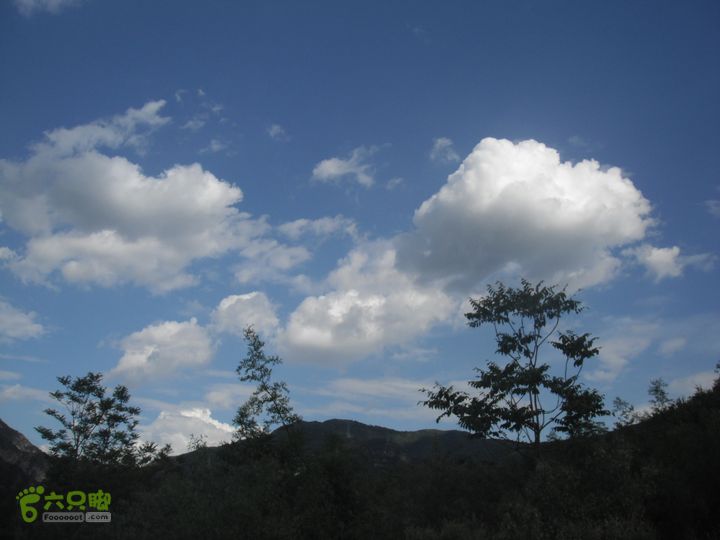 王平北-黄土台-大窖-韭园DSCF3227