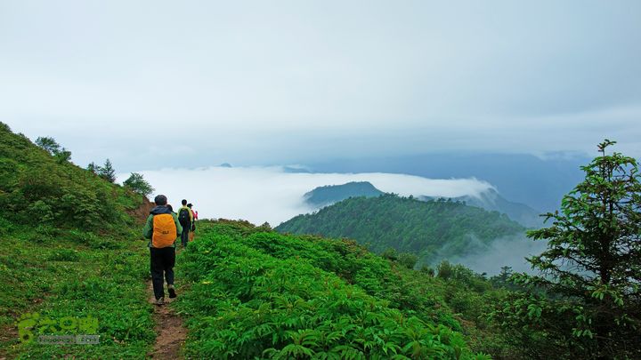 鱼进沟三合乡穿越牛背山-20150622-073357