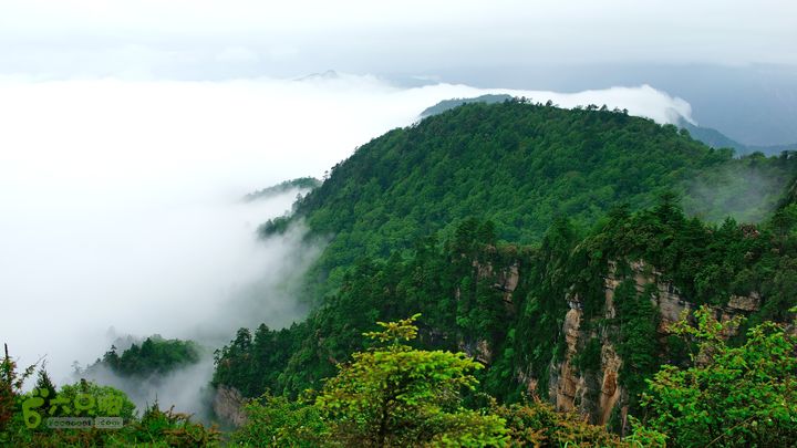 鱼进沟三合乡穿越牛背山-20150622-073744