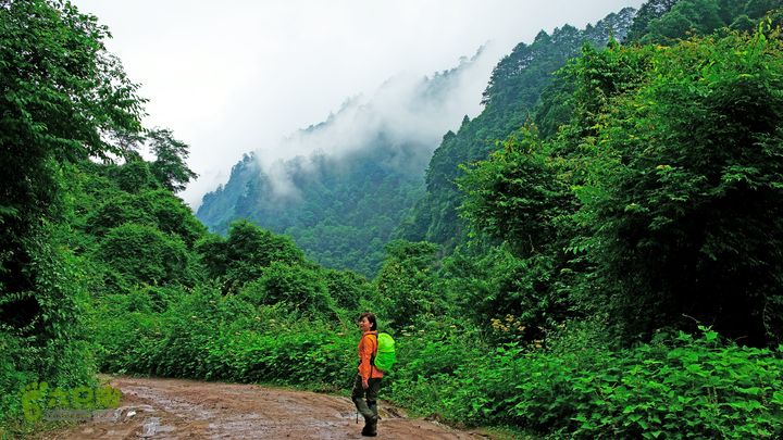 鱼进沟三合乡穿越牛背山-20150622-105525
