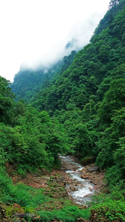 鱼进沟三合乡穿越牛背山-20150622-111654