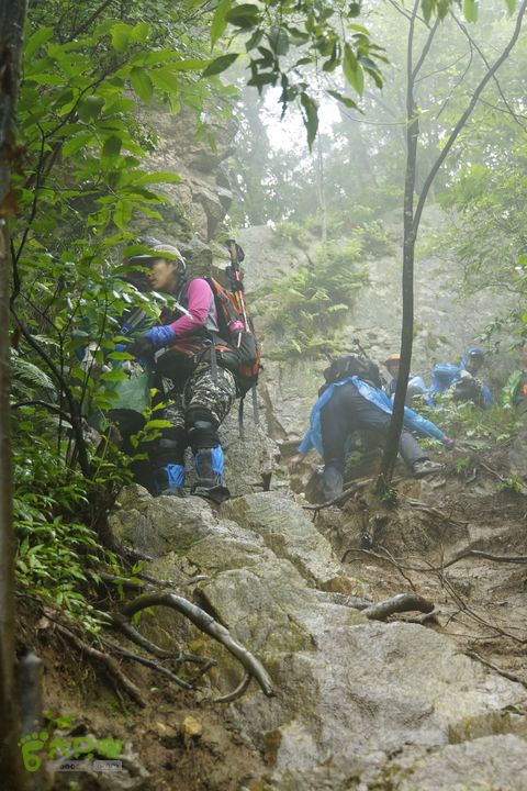 大别山白马尖龙井峡环线_DSC2645_副本