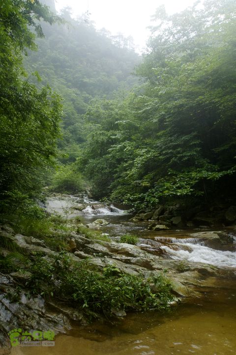 大别山白马尖龙井峡环线_DSC2688_副本