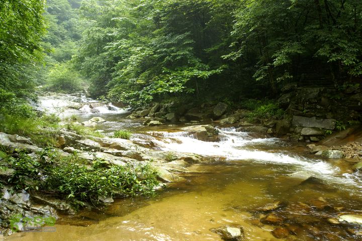 大别山白马尖龙井峡环线_DSC2690_副本