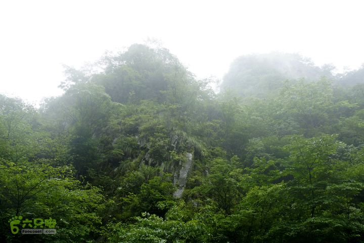 大别山白马尖龙井峡环线_DSC2692_副本