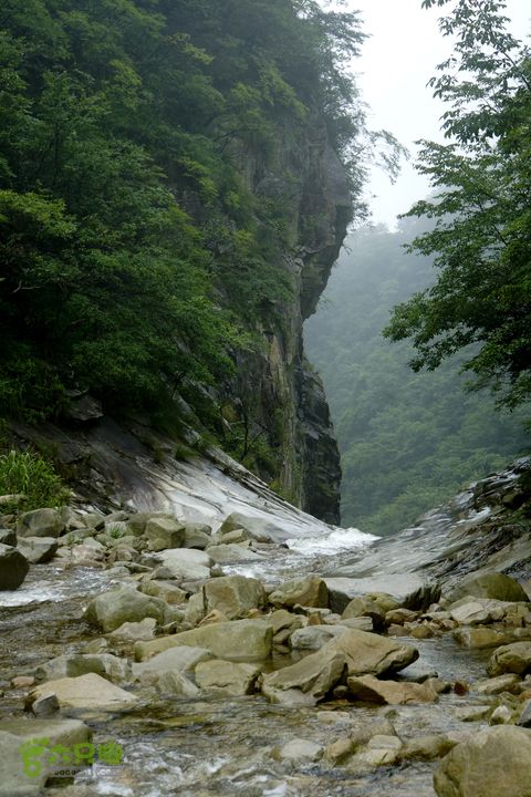大别山白马尖龙井峡环线_DSC2713_副本