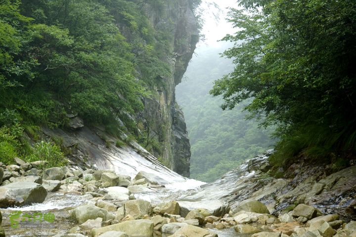 大别山白马尖龙井峡环线_DSC2715_副本