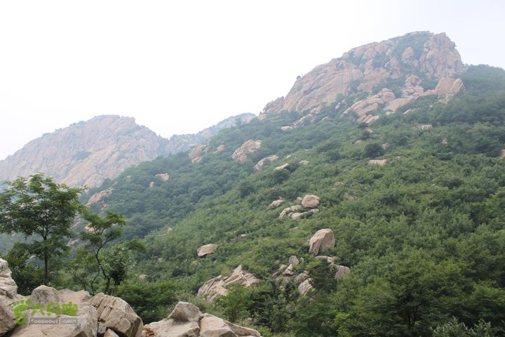 蒙山林家崮IMG_5763